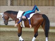 voltitag 2009 _CD1 099